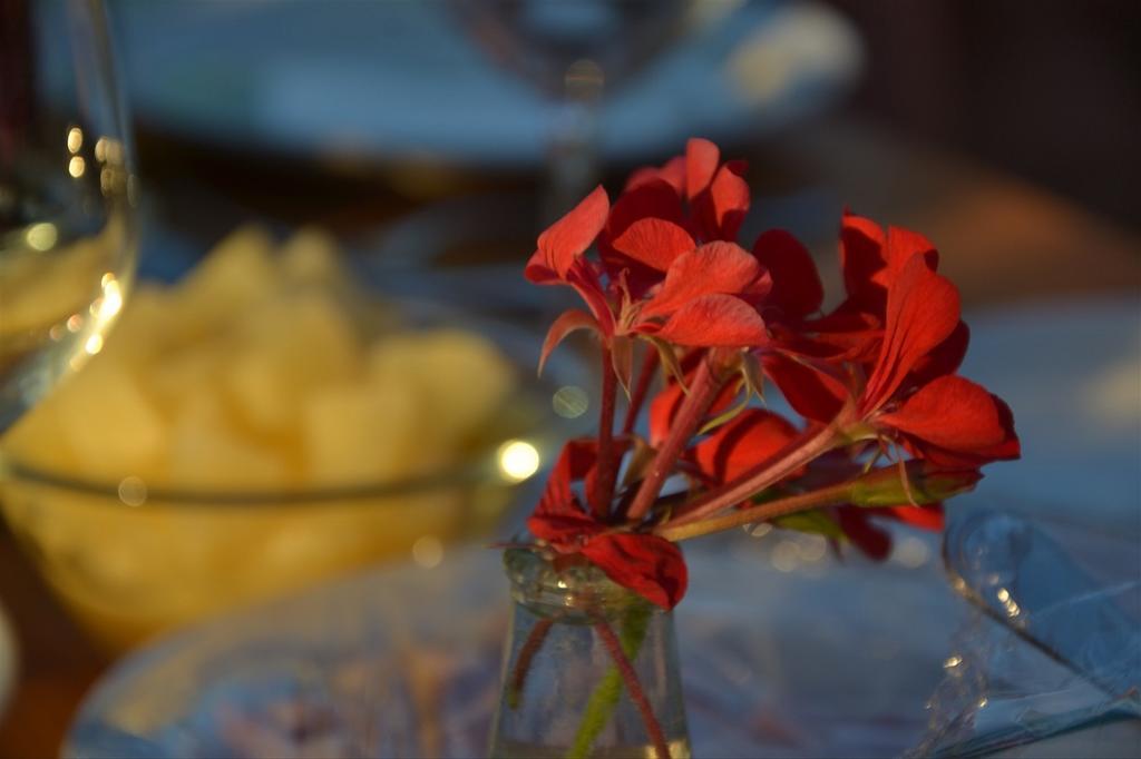 Podere Del Gesso タルクイーニア エクステリア 写真