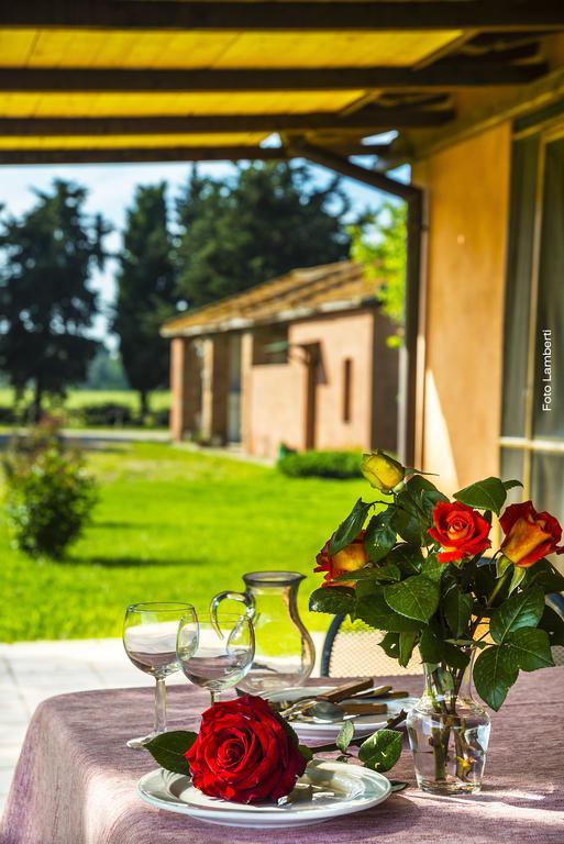 Podere Del Gesso タルクイーニア エクステリア 写真