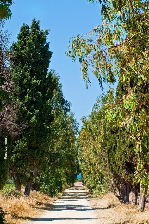 Podere Del Gesso タルクイーニア エクステリア 写真