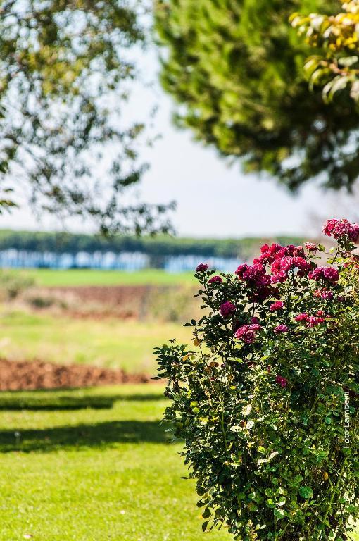 Podere Del Gesso タルクイーニア エクステリア 写真